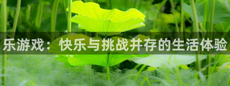 沐鸣注册官方登录app