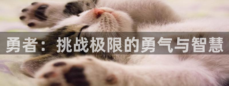 沐鸣注册账号怎么注册