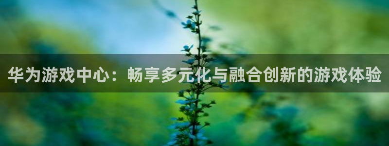 沐鸣集团：华为游戏中心：畅享多元化与融合创新的游戏体验