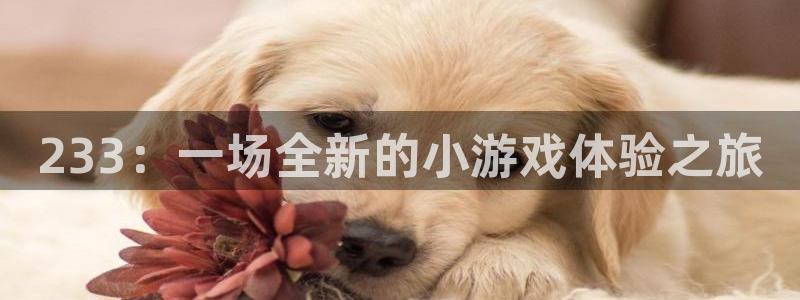 沐鸣手机网页版登录