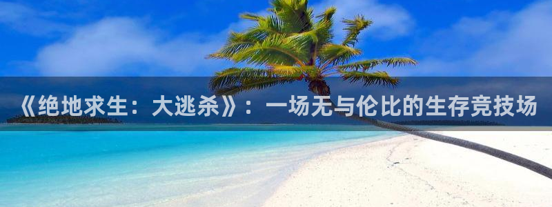 沐鸣在线登录：《绝地求生：大逃杀》：一场无与伦比的生存竞技场