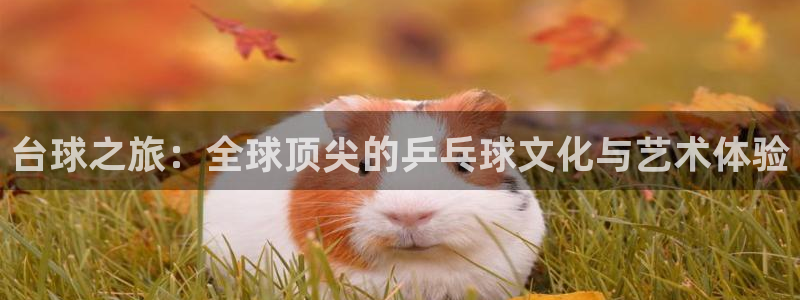 沐鸣娱乐注册登录平台