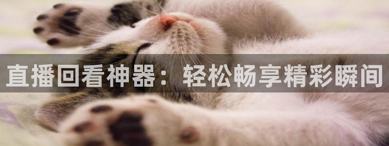 绿茵直播体育免费直播