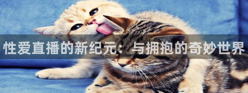 绿茵体育足球免费直播：性爱直播的新纪元：与拥抱的奇妙世界