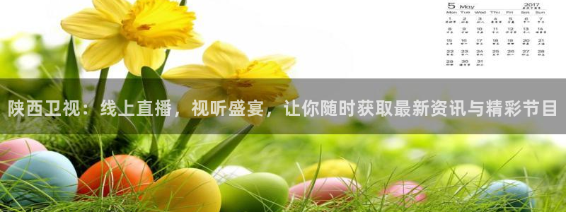 绿茵直播体育在线观看免费视频：陕西卫视：线上直播，视听盛宴，让你随时获取最新资讯与精彩节目