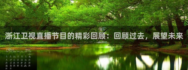 绿茵体育直播免费观看：浙江卫视直播节目的精彩回顾：回顾过去，展望未来