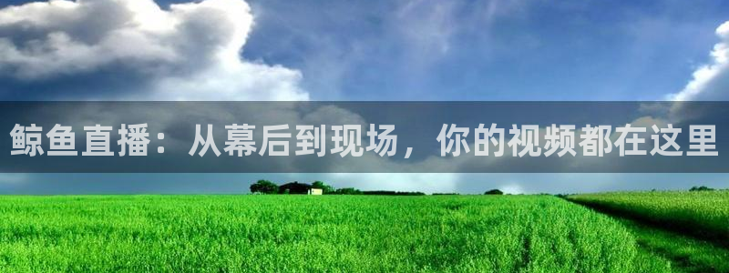 球球看绿茵：鲸鱼直播：从幕后到现场，你的视频都在这里