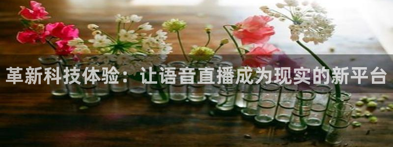 绿茵足球直播免费观看：革新科技体验：让语音直播成为现实的新平台