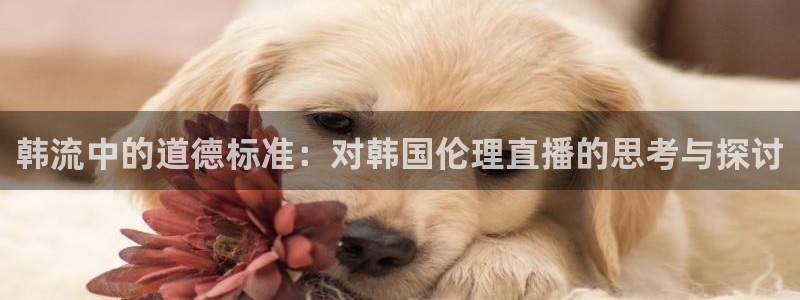 球球看绿茵：韩流中的道德标准：对韩国伦理直播的思考与探讨
