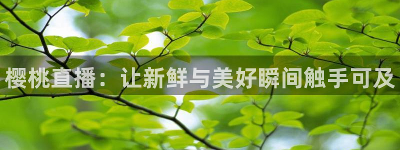绿茵直播足球直播