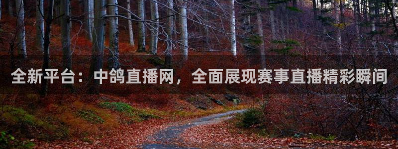 绿茵直播足球直播：全新平台：中鸽直播网，全面展现赛事直播精彩瞬间