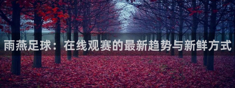 nba直播绿茵：雨燕足球：在线观赛的最新趋势与新鲜方式